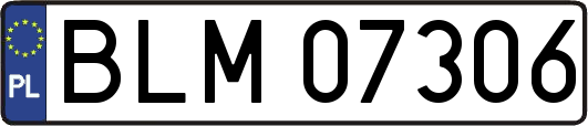 BLM07306