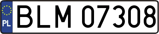 BLM07308