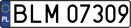 BLM07309