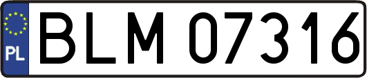 BLM07316