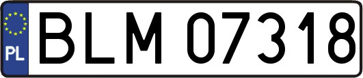 BLM07318