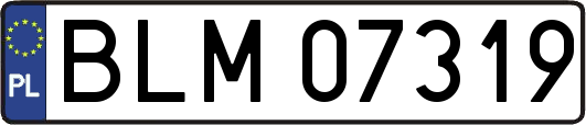 BLM07319