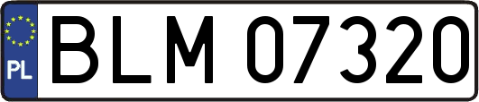 BLM07320