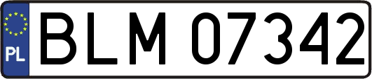 BLM07342