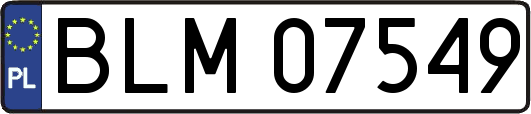 BLM07549