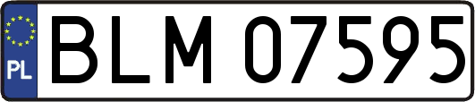 BLM07595