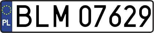 BLM07629