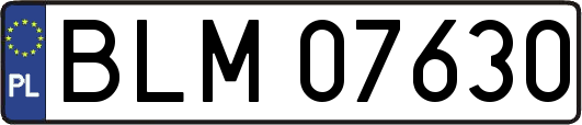 BLM07630