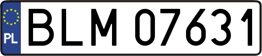 BLM07631