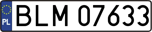 BLM07633