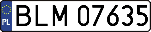 BLM07635