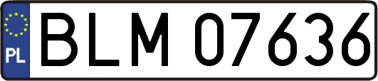 BLM07636