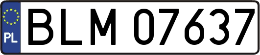 BLM07637