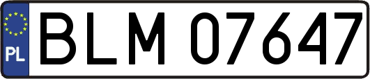 BLM07647