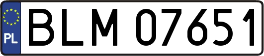 BLM07651