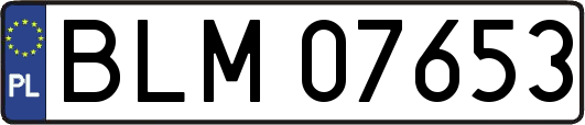 BLM07653