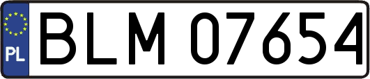 BLM07654