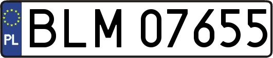 BLM07655