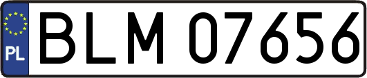 BLM07656