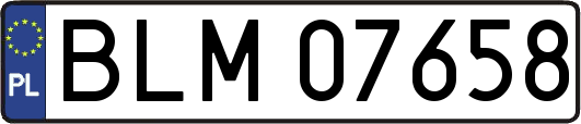 BLM07658