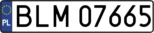 BLM07665