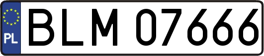 BLM07666
