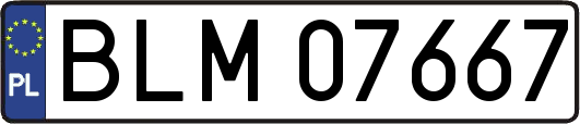 BLM07667