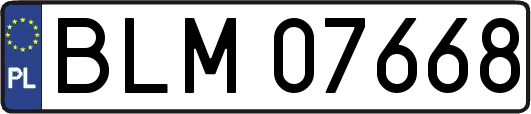 BLM07668