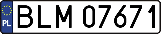 BLM07671