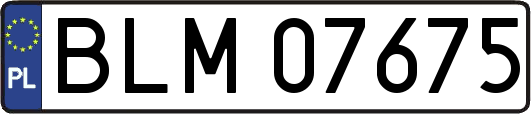 BLM07675