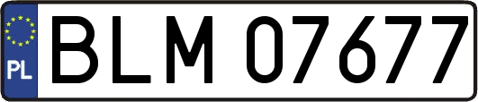 BLM07677