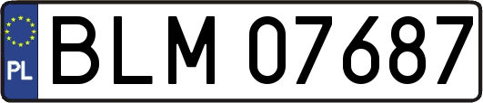 BLM07687