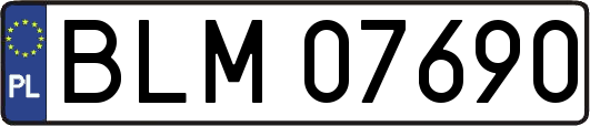 BLM07690
