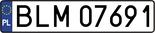 BLM07691