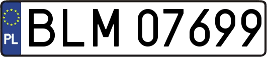 BLM07699