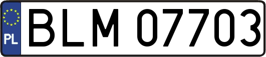 BLM07703