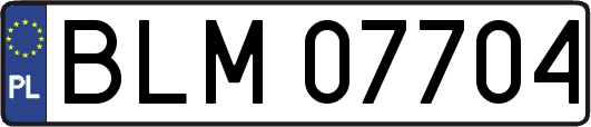 BLM07704
