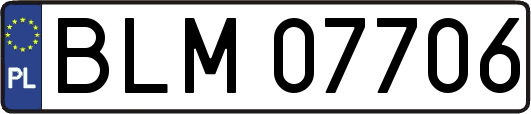 BLM07706