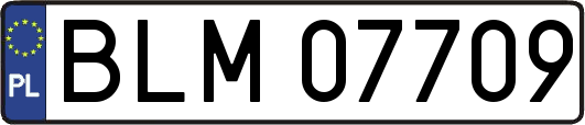 BLM07709