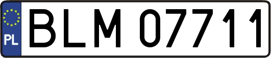 BLM07711
