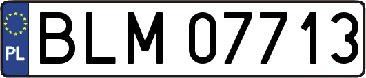 BLM07713