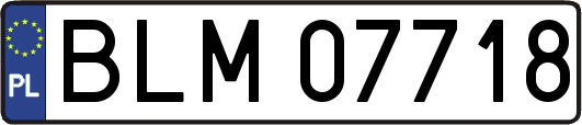 BLM07718