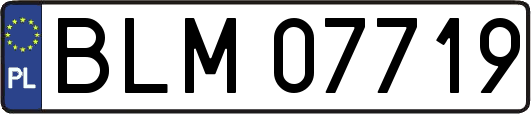BLM07719