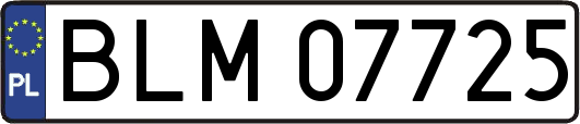BLM07725