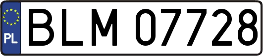 BLM07728