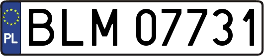 BLM07731
