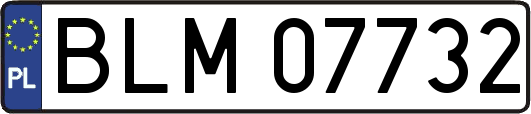 BLM07732