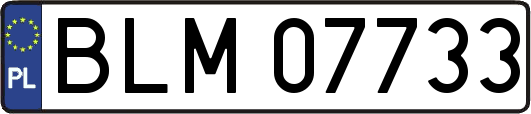 BLM07733