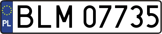 BLM07735