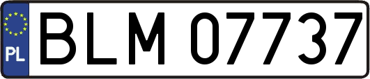 BLM07737